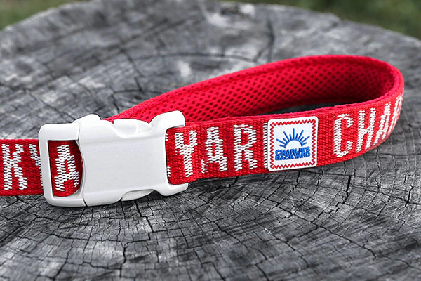 Trip Dog Leash (FINAL SALE) - Image 4