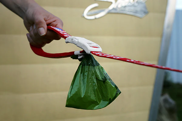 Trip Dog Leash (FINAL SALE) - Image 5