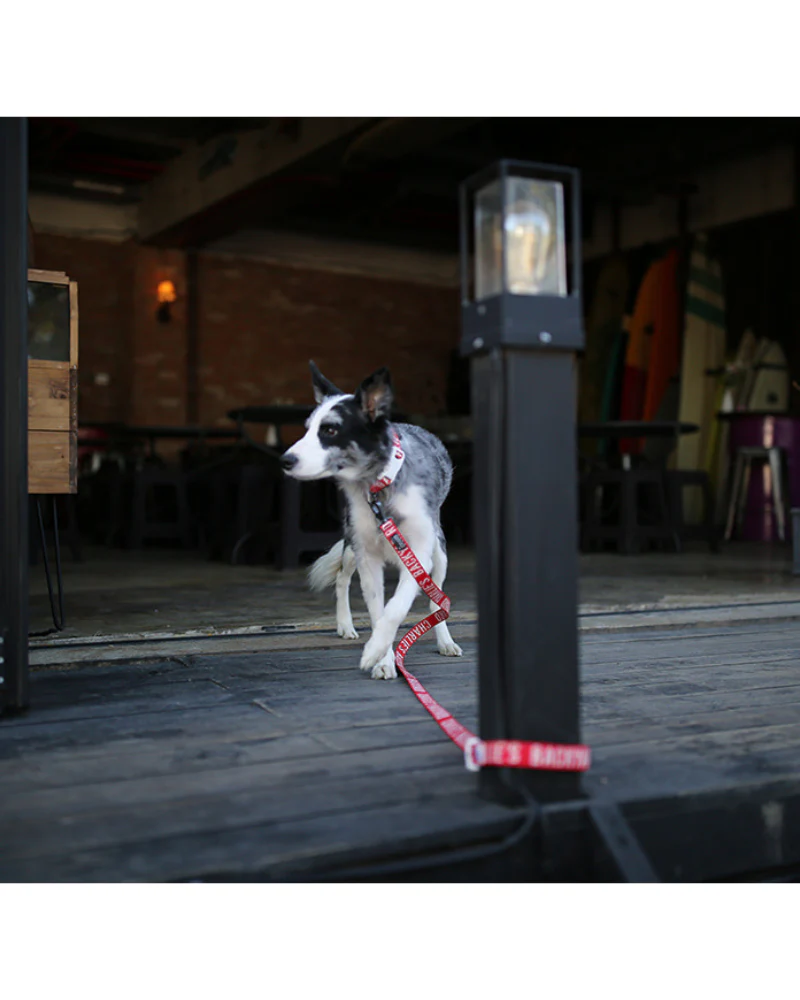 Trip Dog Leash (FINAL SALE) - Image 6