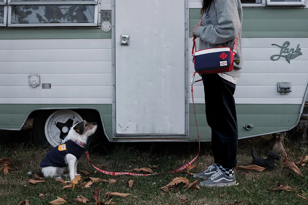 Trip Pack Dog Walking Bag - Image 11