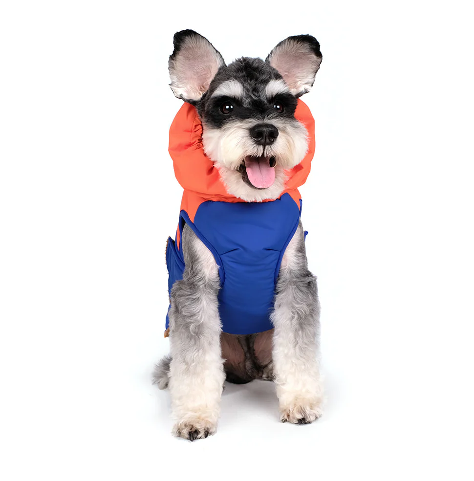 Turtle Padding Jacket in Orange and Blue (FINAL SALE) - Image 2