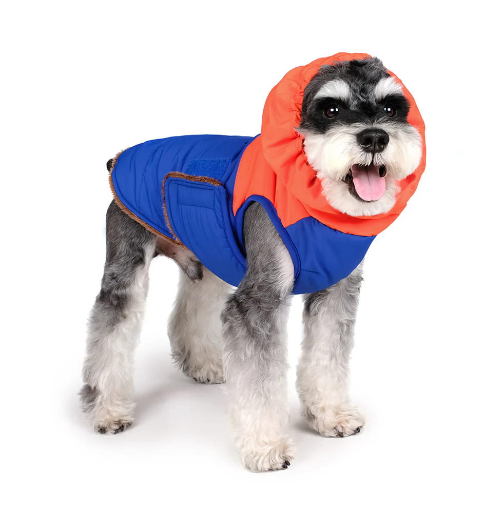 Turtle Padding Jacket in Orange and Blue (FINAL SALE) - Image 3