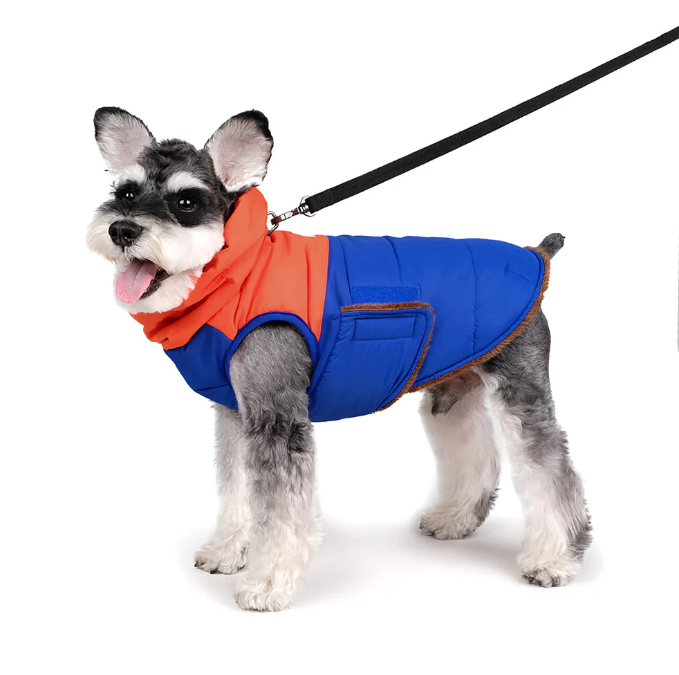 Turtle Padding Jacket in Orange and Blue (FINAL SALE) - Image 4