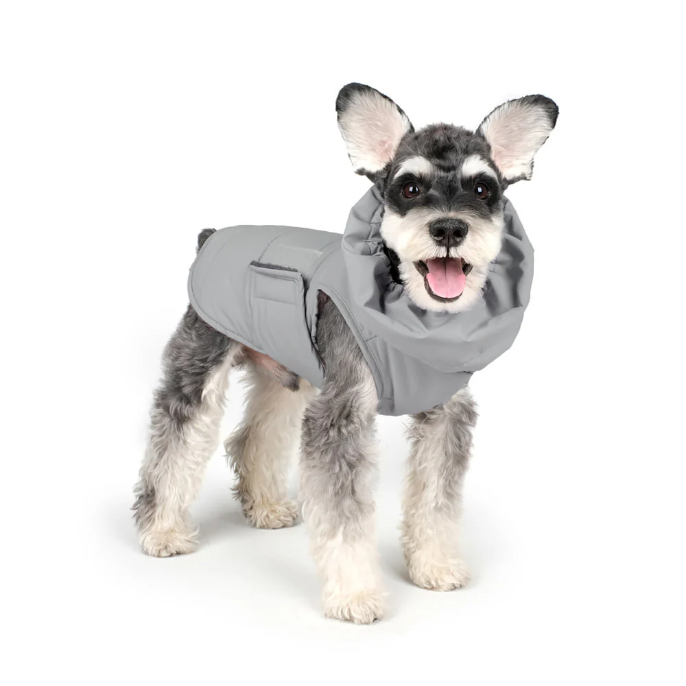 CHARLIE'S BACKYARD | Turtle Padding Jacket in Gray - Image 2