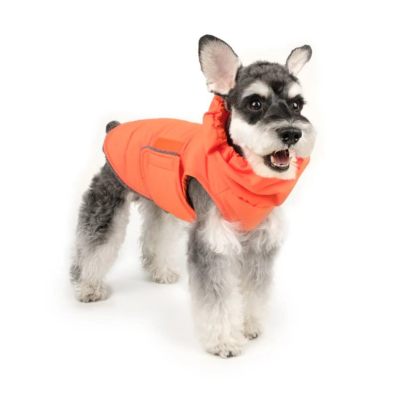 CHARLIE'S BACKYARD | Turtle Padding Jacket in Orange - Image 2