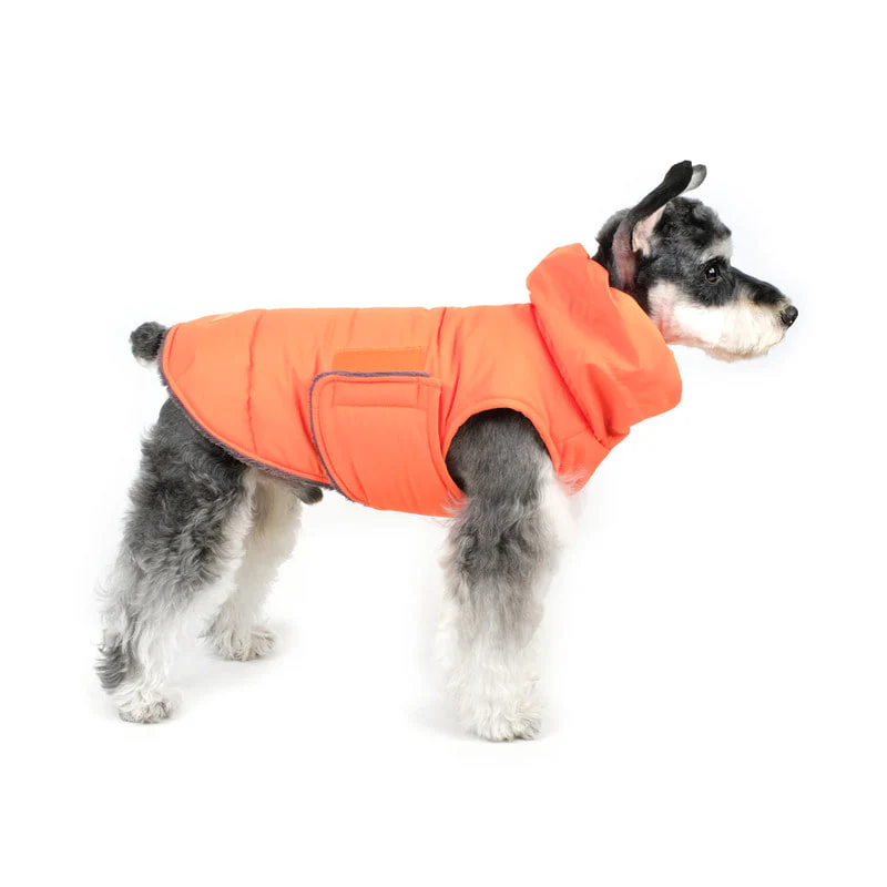 CHARLIE'S BACKYARD | Turtle Padding Jacket in Orange - Image 3
