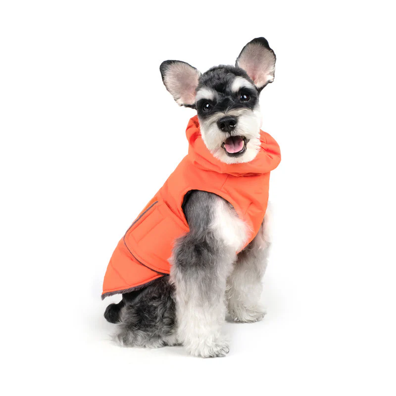 CHARLIE'S BACKYARD | Turtle Padding Jacket in Orange - Image 4
