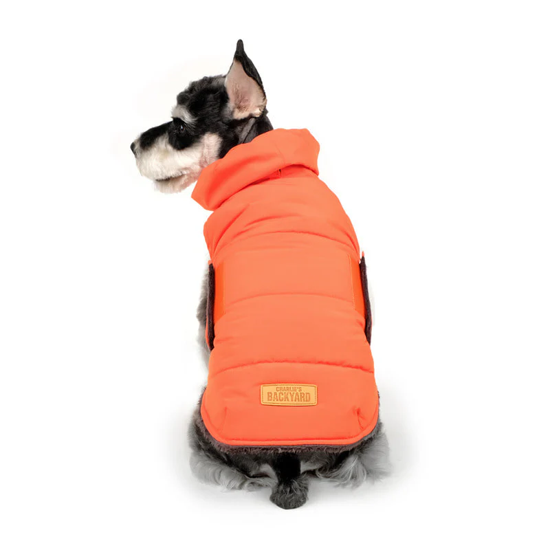CHARLIE'S BACKYARD | Turtle Padding Jacket in Orange - Image 5