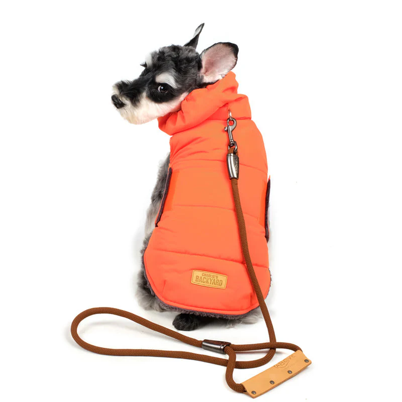CHARLIE'S BACKYARD | Turtle Padding Jacket in Orange - Image 6