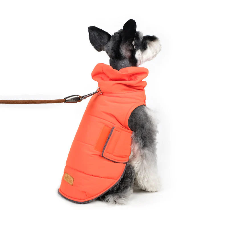 CHARLIE'S BACKYARD | Turtle Padding Jacket in Orange - Image 7