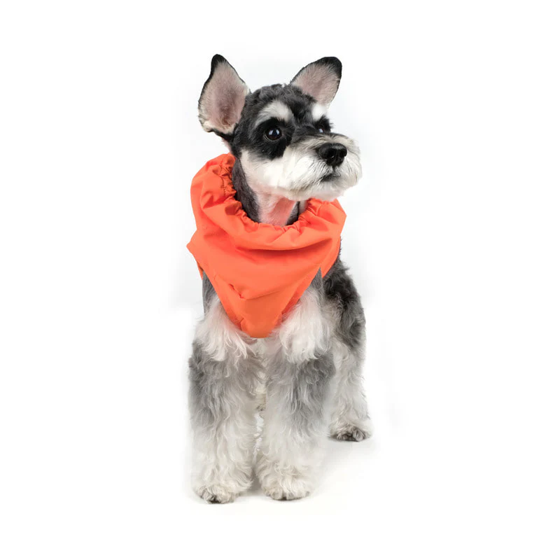 CHARLIE'S BACKYARD | Turtle Padding Jacket in Orange - Image 8