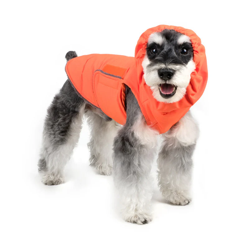 CHARLIE'S BACKYARD | Turtle Padding Jacket in Orange - Image 9