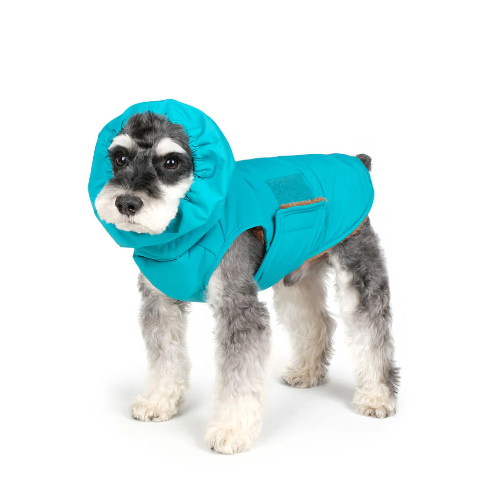 CHARLIE'S BACKYARD | Turtle Padding Jacket in Teal - Image 2