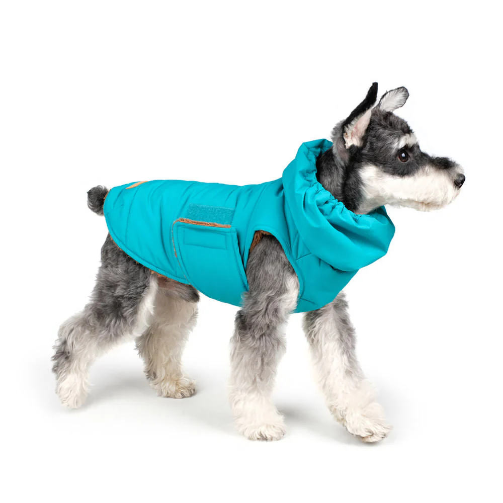 CHARLIE'S BACKYARD | Turtle Padding Jacket in Teal - Image 3