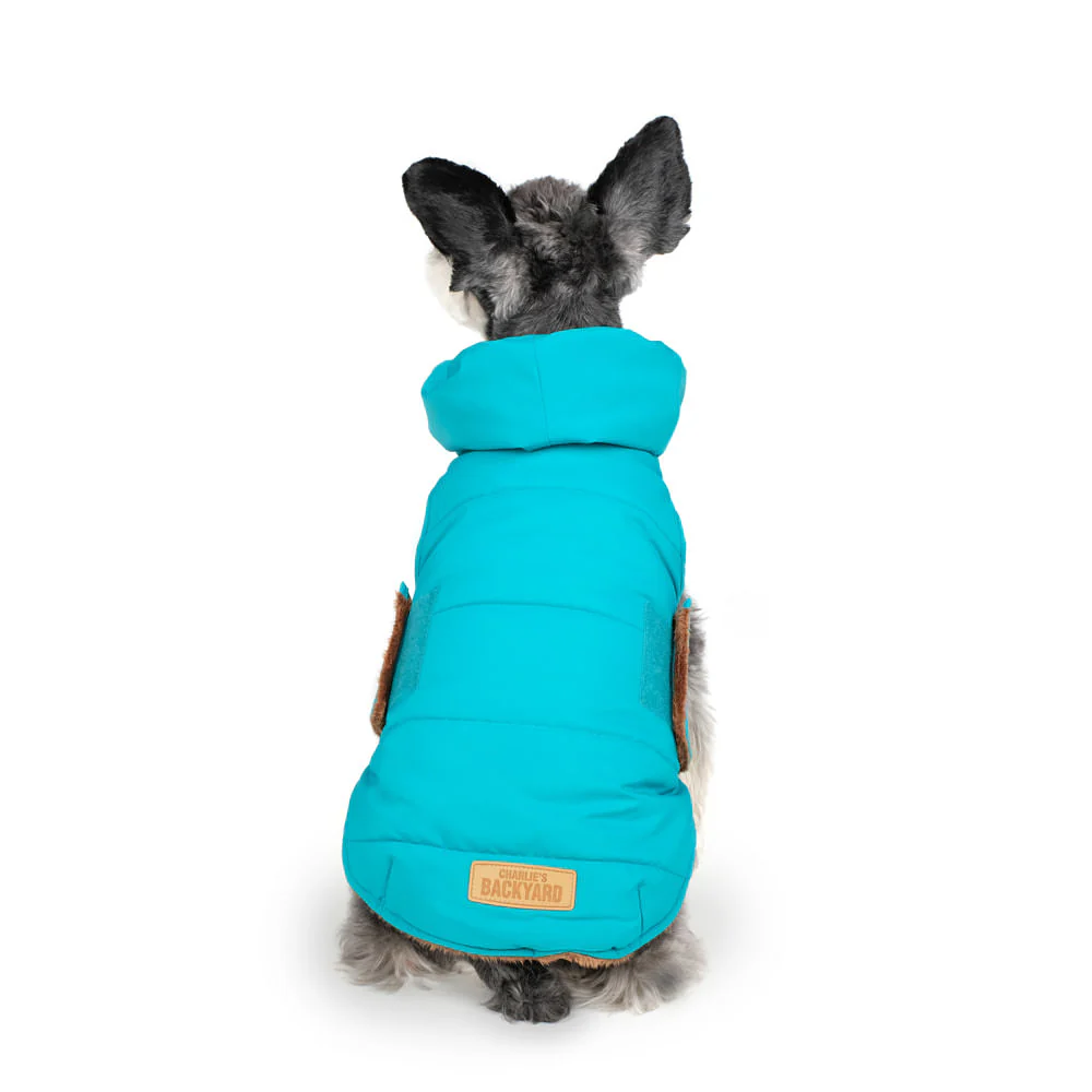 CHARLIE'S BACKYARD | Turtle Padding Jacket in Teal - Image 4