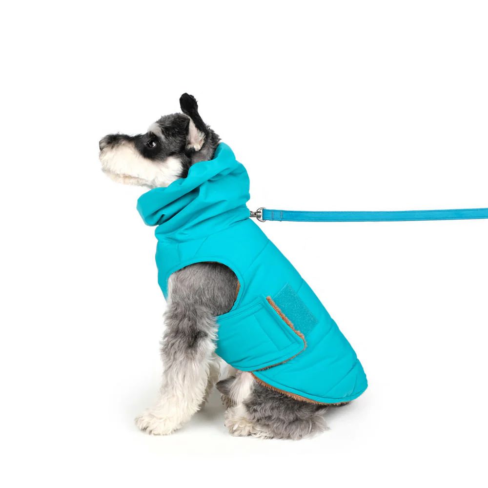 CHARLIE'S BACKYARD | Turtle Padding Jacket in Teal - Image 5