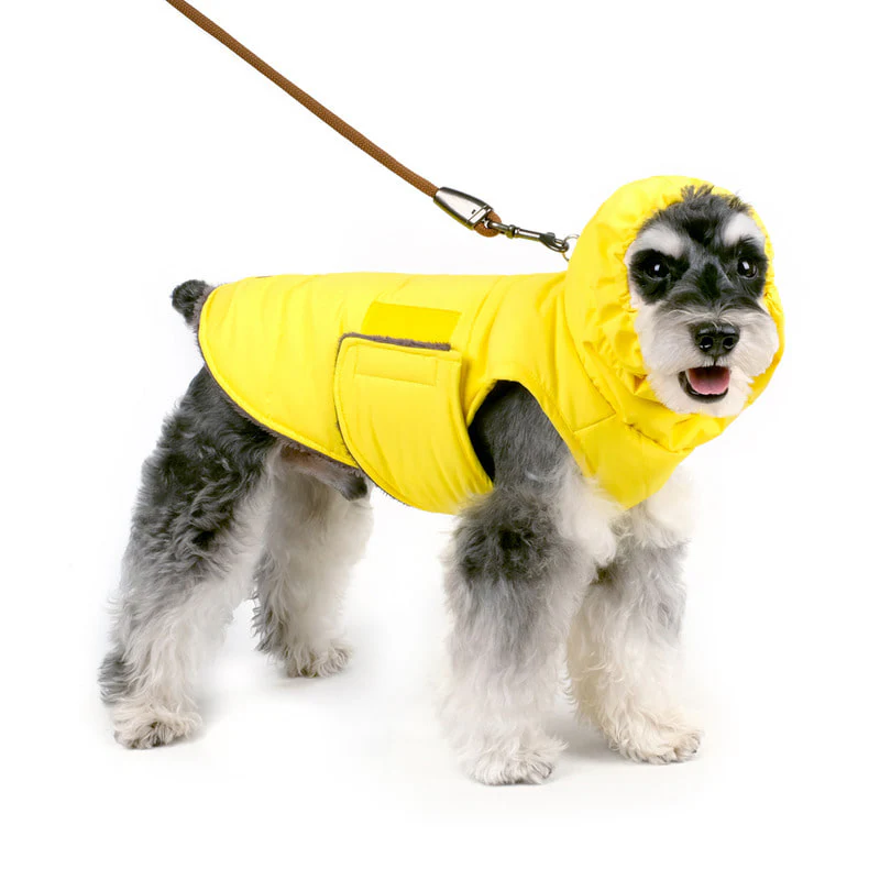 CHARLIE'S BACKYARD | Turtle Padding Jacket in Yellow - Image 2