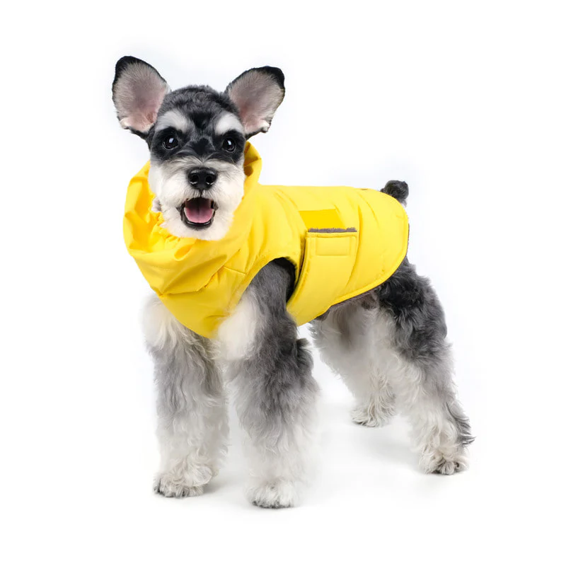CHARLIE'S BACKYARD | Turtle Padding Jacket in Yellow - Image 3