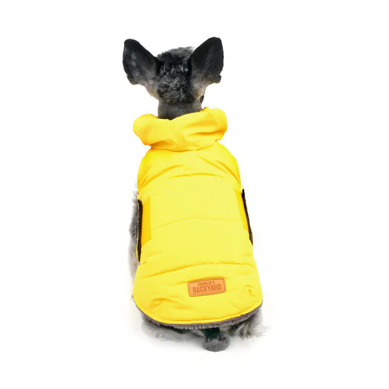CHARLIE'S BACKYARD | Turtle Padding Jacket in Yellow - Image 4