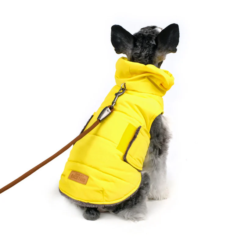CHARLIE'S BACKYARD | Turtle Padding Jacket in Yellow - Image 5