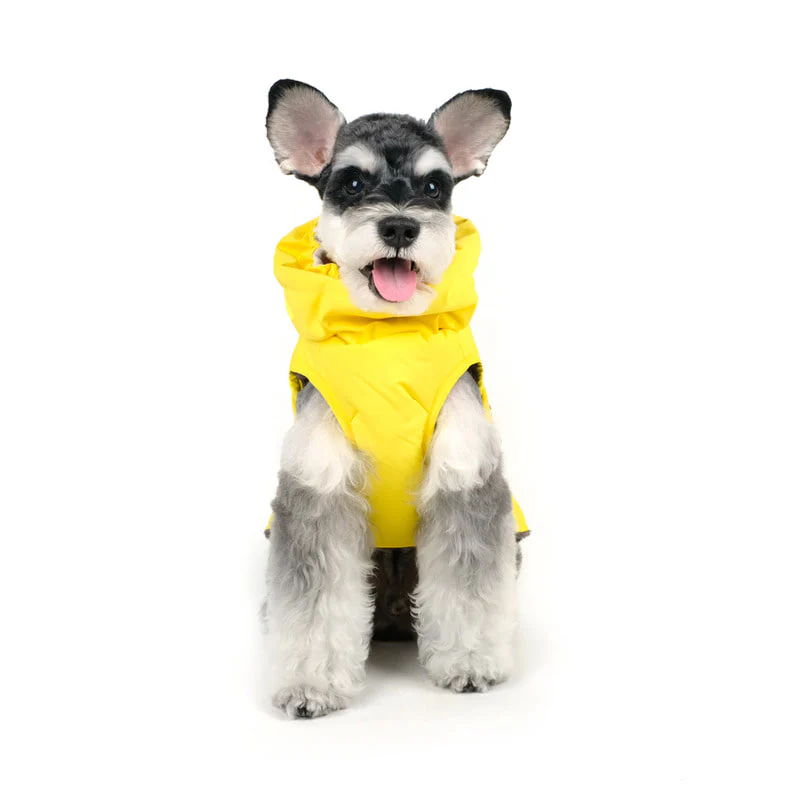 CHARLIE'S BACKYARD | Turtle Padding Jacket in Yellow - Image 6