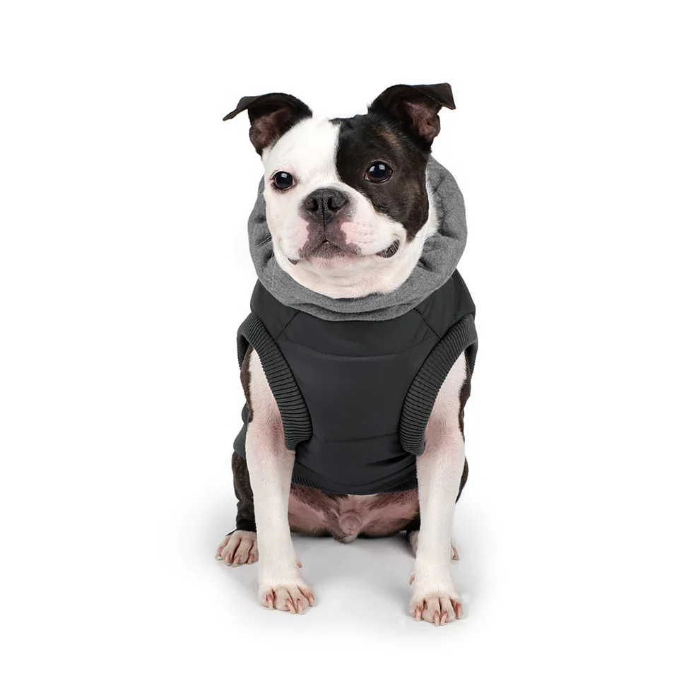 Warm Up Harness Jacket in Black (FINAL SALE) - Image 2