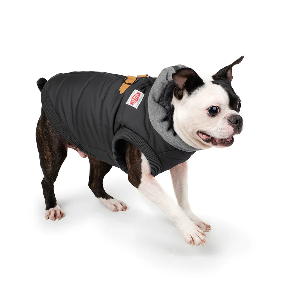 Warm Up Harness Jacket in Black (FINAL SALE) - Image 4