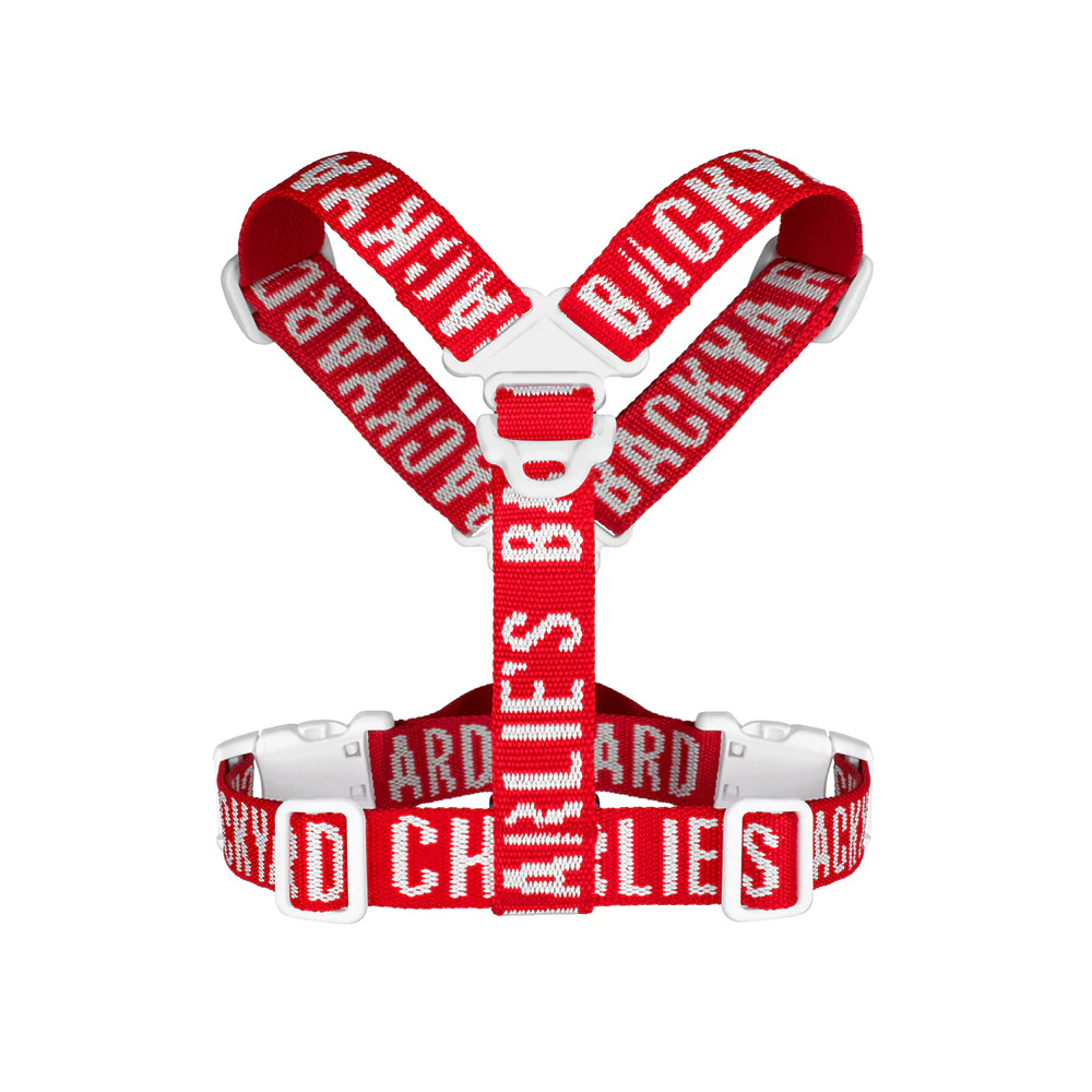 "Y" Shape Trip Harness for Dogs (FINAL SALE) - Image 3