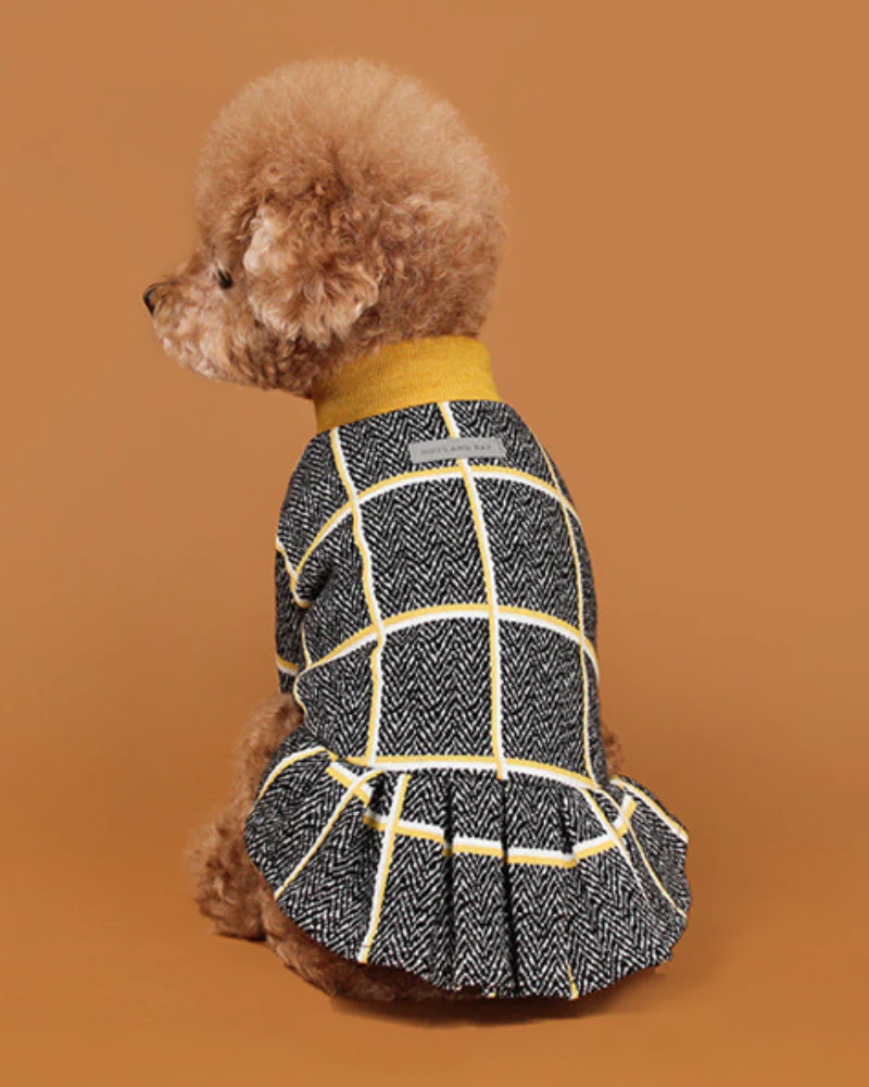 Check Dress for Dogs in Mustard Yellow (FINAL SALE) - Image 3