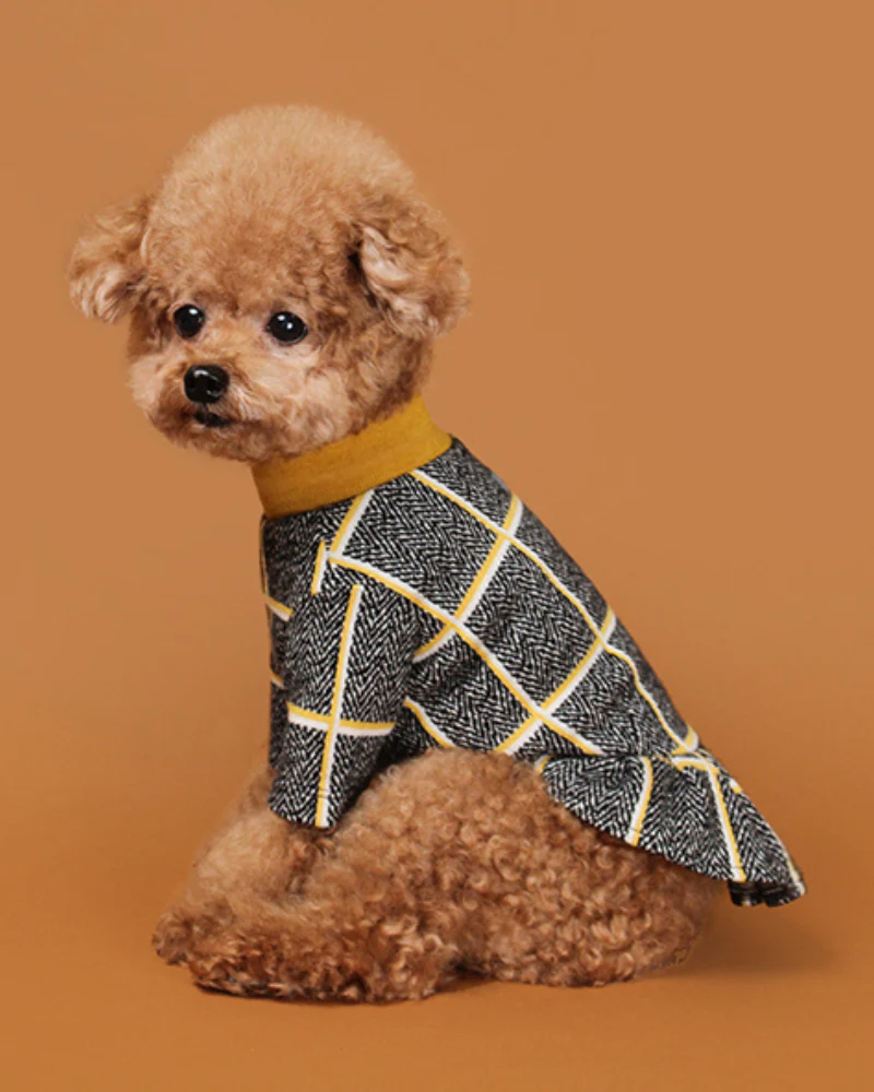 Check Dress for Dogs in Mustard Yellow (FINAL SALE) - Image 4