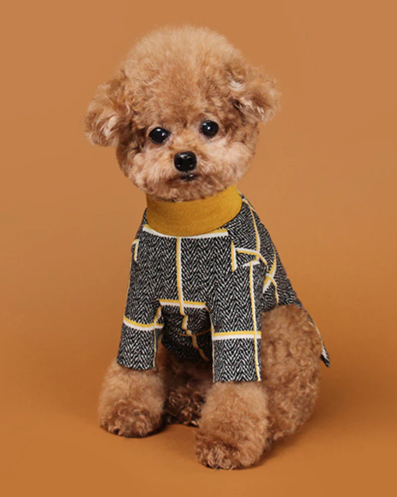 Check Tee for Dogs in Mustard Yellow (FINAL SALE) - Image 2