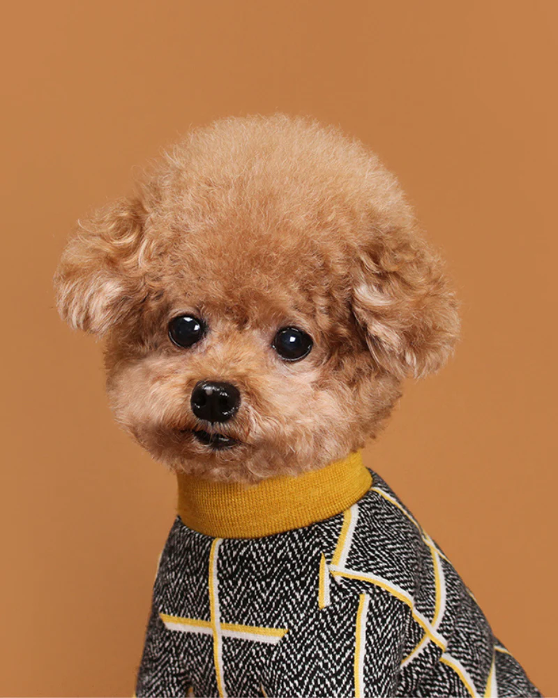 Check Tee for Dogs in Mustard Yellow (FINAL SALE) - Image 3