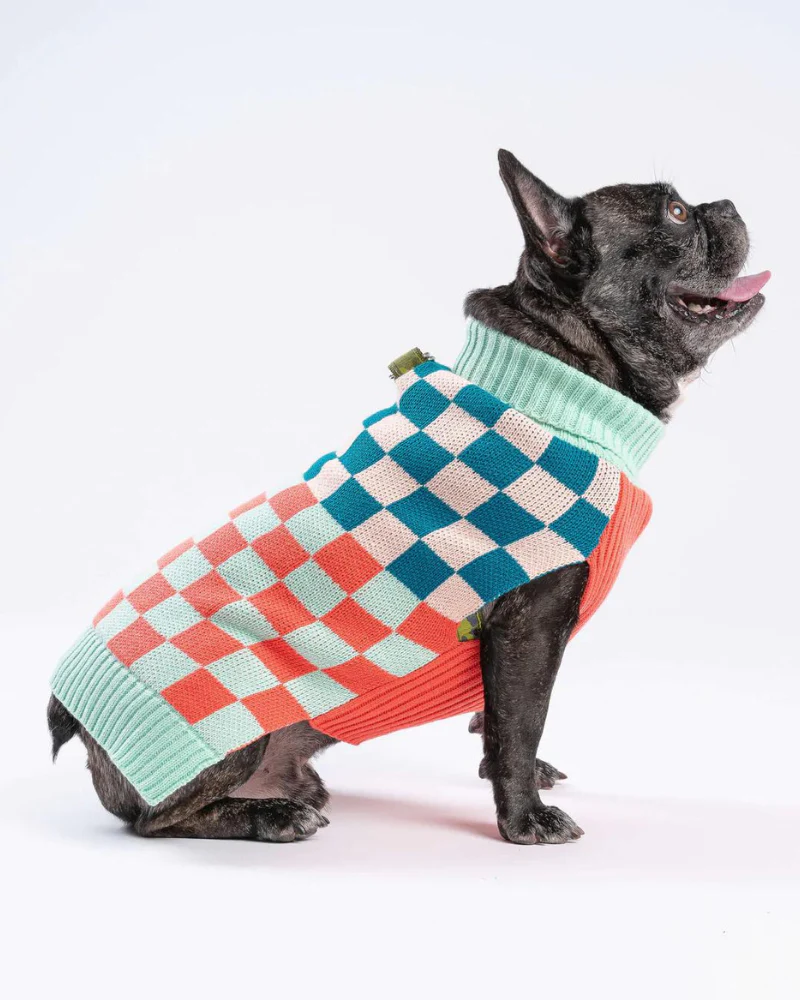Checkerboard Dog Sweater in Melon & Jade (FINAL SALE) - Image 3