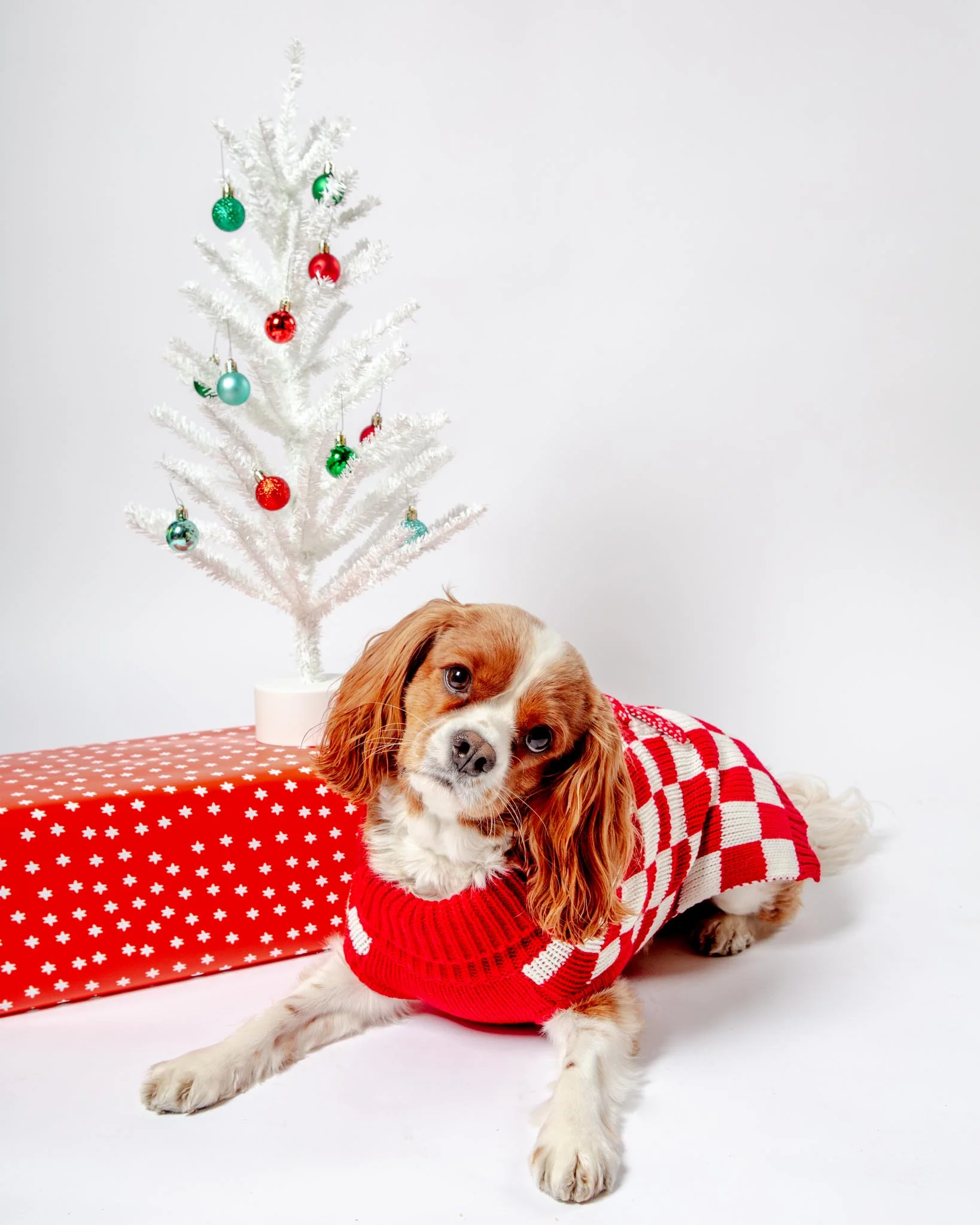 Checkerboard Snowman Sweater for Dogs (FINAL SALE) (FW24LO) - Image 2