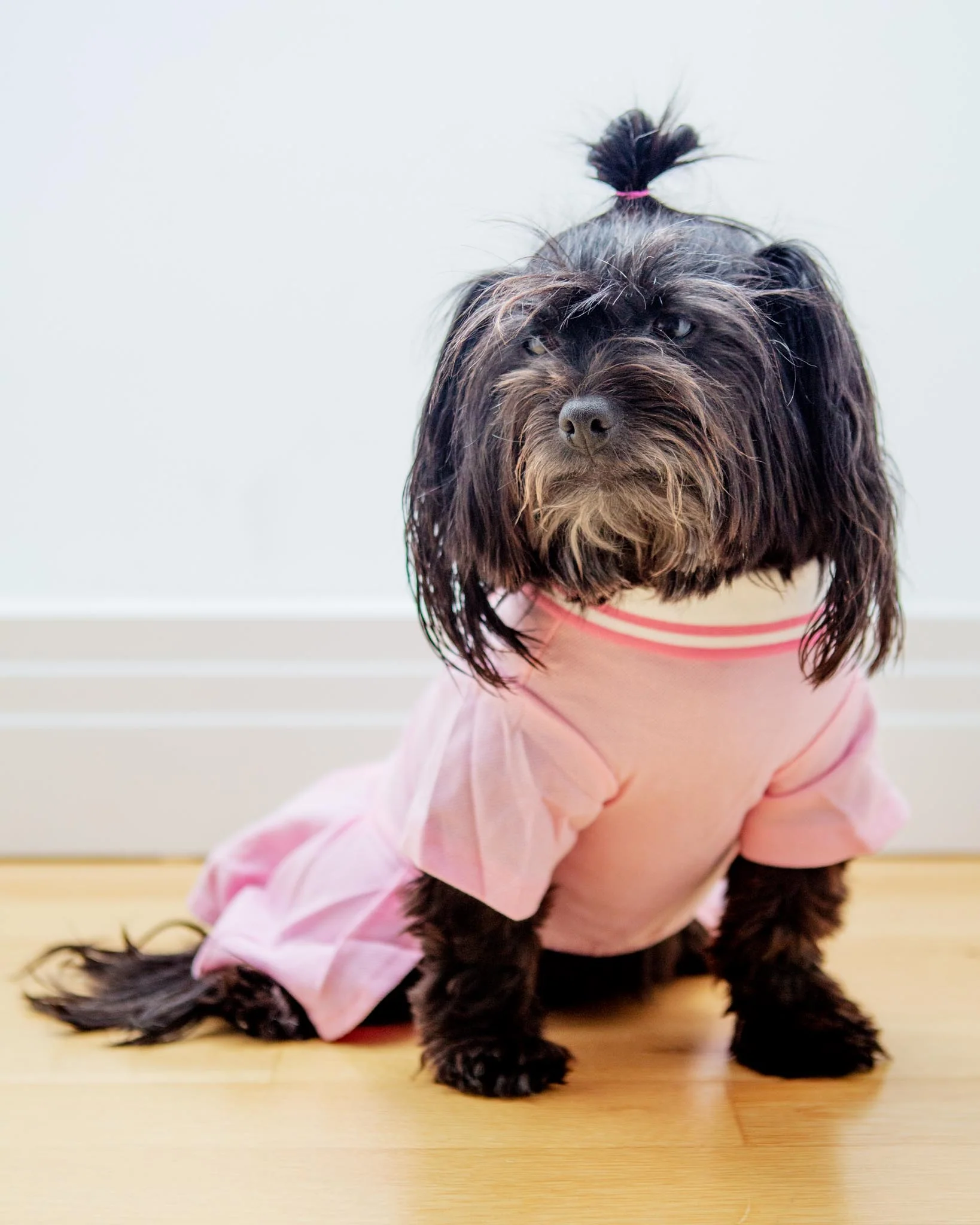 Cheeky Cherry Dog Dress (CLEARANCE) - Image 5