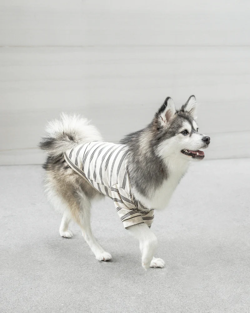 Chelsea Dog Tee in Earth (FINAL SALE) - Image 2