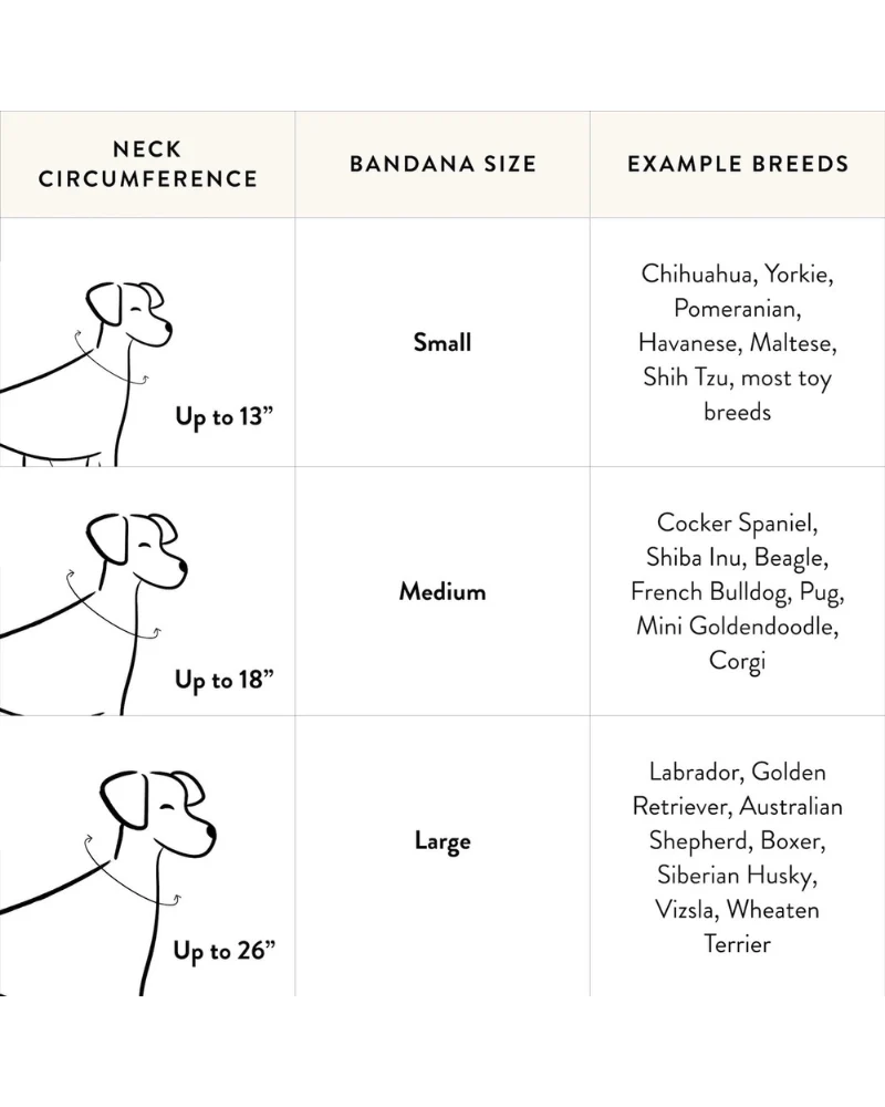 Cherry Jubilee Cotton Dog Bandana (FINAL SALE) - Image 3