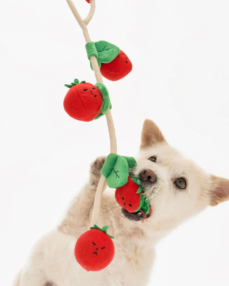 Cherry Tomato Nose Work & Tug Dog Toy - Image 4