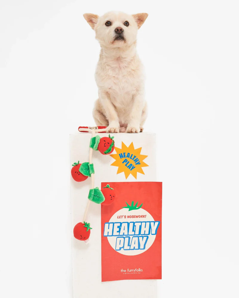 Cherry Tomato Nose Work & Tug Dog Toy - Image 7