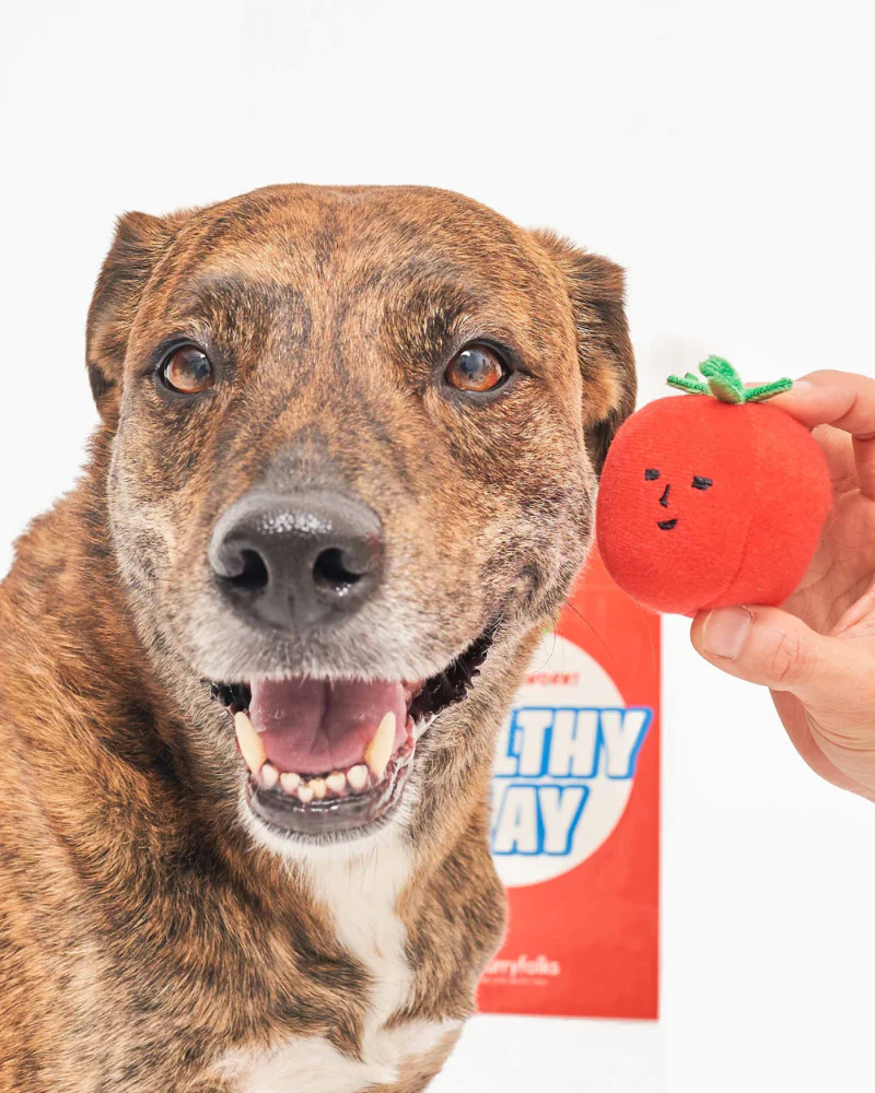 Cherry Tomato Nose Work & Tug Dog Toy - Image 8