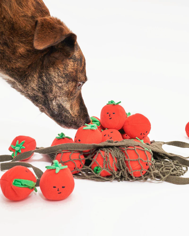 Cherry Tomato Nose Work & Tug Dog Toy - Image 9
