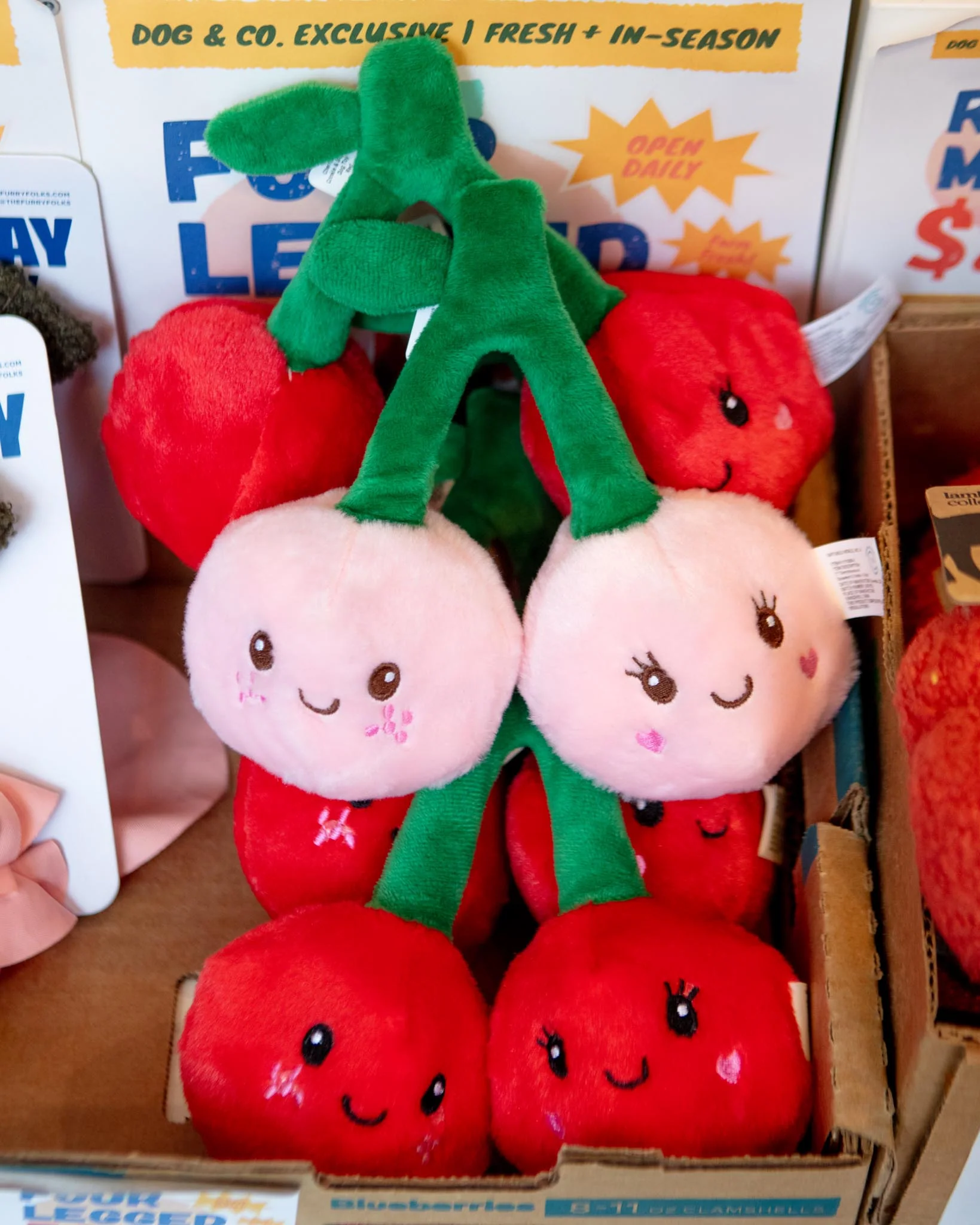 Cherryliscous Crinkle & Squeaker Dog Toy