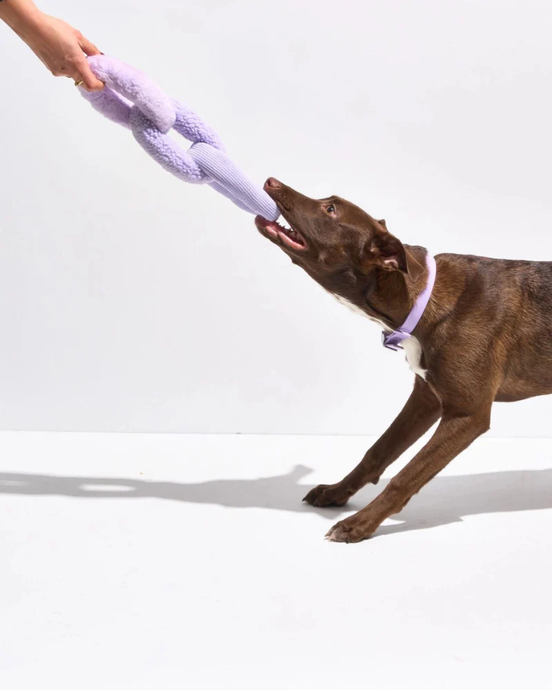 Chew Chain Squeaker Dog Tug Toy in Lilac - Image 2
