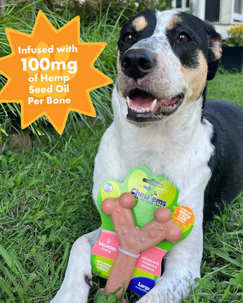 Chew 'Ems Dog Toys (Made in the USA) - Image 4
