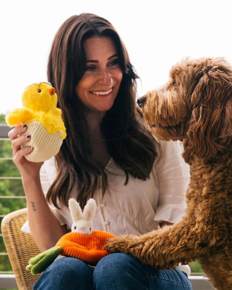 Chick Me Out Squeaky Dog Toy - Image 2