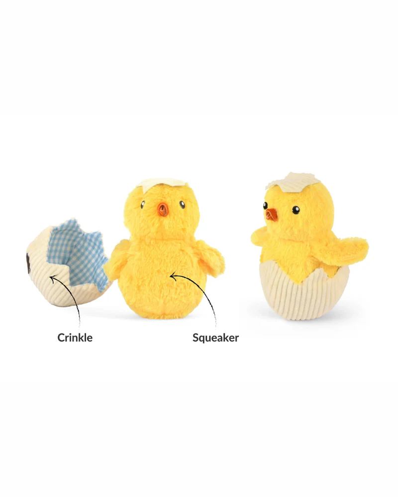 Chick Me Out Squeaky Dog Toy - Image 5