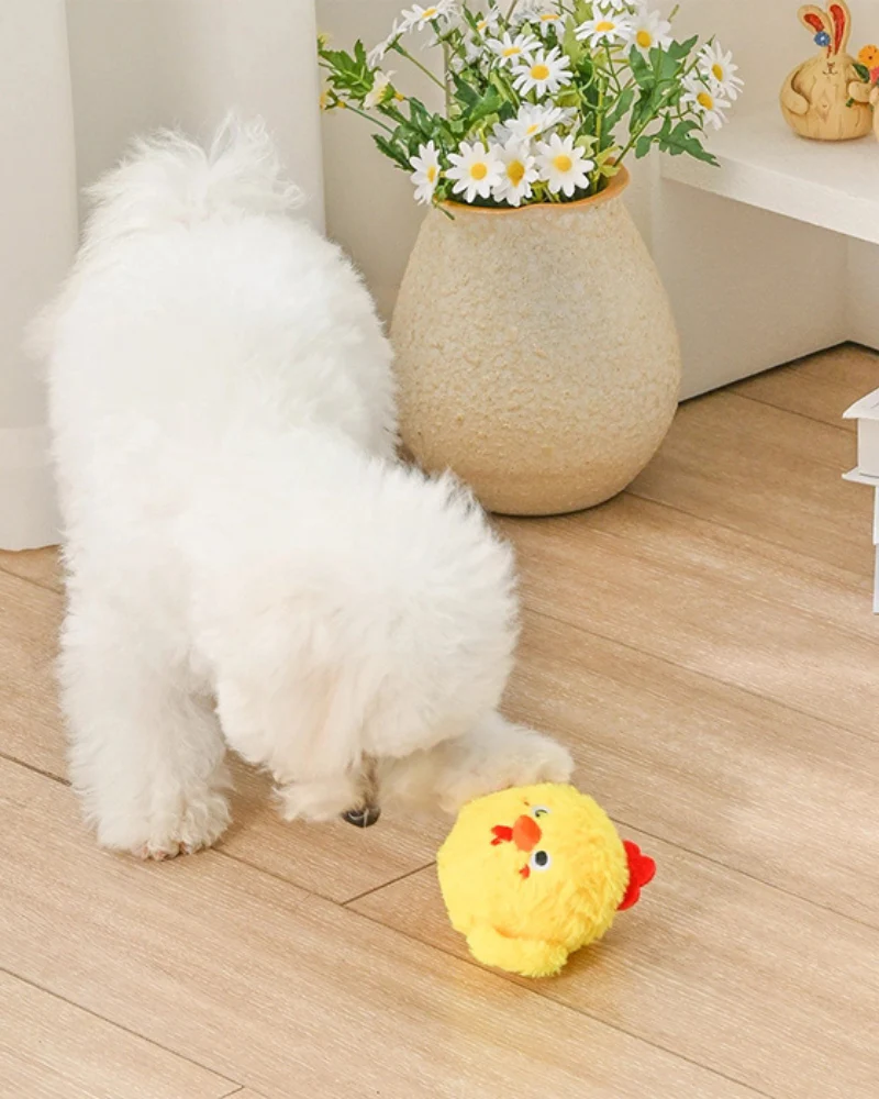 Chick 2-in-1 Squeaker Ball Dog Toy - Image 2