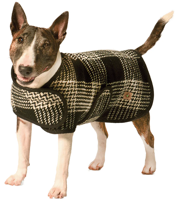 CHILLY DOG | Black & White Plaid Coat