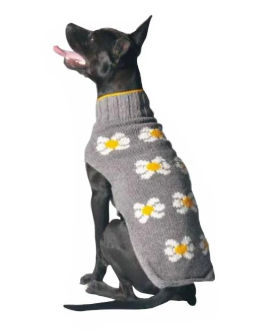 Daisy Wool Knit Dog Sweater << FINAL SALE >> - Image 8