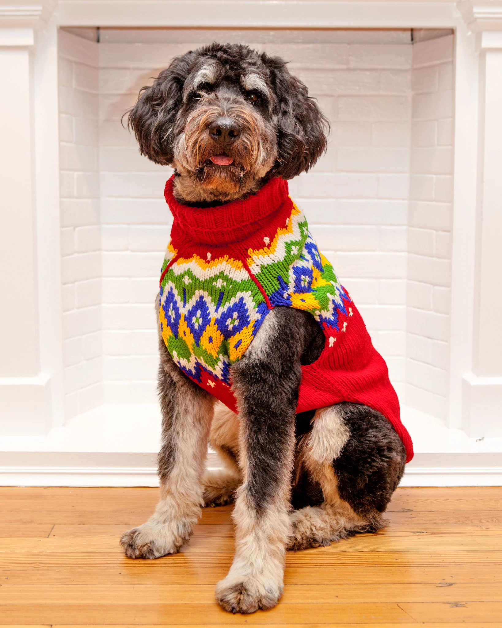 Festive Fairisle Dog Sweater << CLEARANCE >> - Image 2